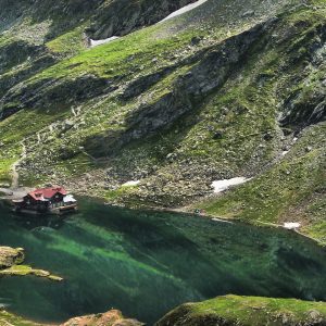 Transilvania: terra di foreste e castelli sospesi nel tempo