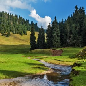 Transilvania: terra di foreste e castelli sospesi nel tempo