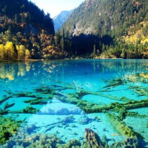 Cina: lo spettacolo di Huanglong nel Parco Nazionale di Jiuzhaigou