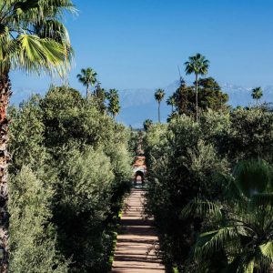 Marocco: La Mamounia, hotel iconico di Marrakech