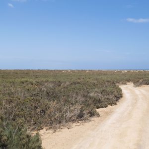 Una vacanza a Capo Verde: quando andare e cosa vedere