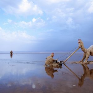 Lago Chott el Jerid