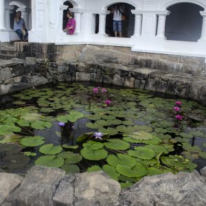 Il tempio d’oro di Dambulla, un tesoro scavato nella roccia