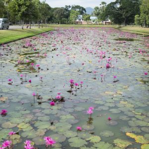 Visitare Sukhothai, tra le ricchezze della Thailandia del nord