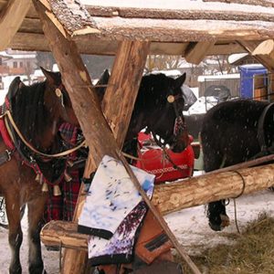 Alto Adige: settimana bianca romantica tra cavalli e carrozze