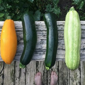 Barchette di zucchine gratinate