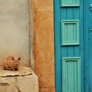 Kairouan, la città delle trecento moschee