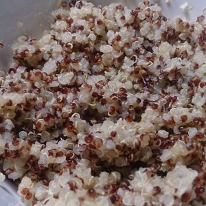 Cavolfiore arrosto con quinoa e crema di ceci