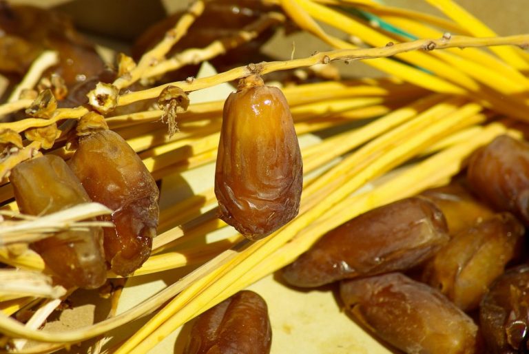 Biscottini ai datteri, pistacchio e cocco.