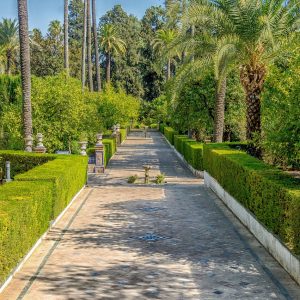 Visitare Siviglia città UNESCO capitale dell’Andalusia