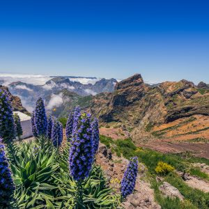 Pico do Arieiro è una montagna di 1.818, è la terza vetta più elevata dell'isola, dopo il Pico Ruivo e il Pico das Torres.