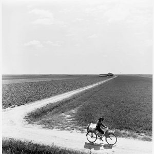 Mostra fotografica di Pietro Donzelli a Rovigo