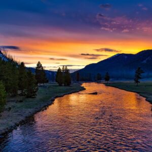 Viaggio a Yellowstone, il più antico parco nazionale del mondo