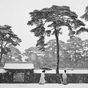 JAPAN. Tokyo. Courtyard of the Meiji shrine. 1951.