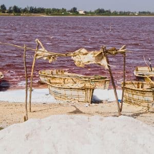 I laghi rosa più belli del mondo: quando la natura supera se stessa