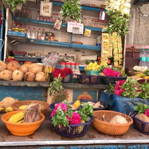 India: in Tamil Nadu e Kerala alla ricerca di suoni, colori e profumi di spezie 