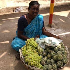 India: in Tamil Nadu e Kerala alla ricerca di suoni, colori e profumi di spezie 