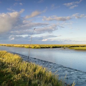 Paesi Bassi: la terra dell’acqua e dei siti Unesco