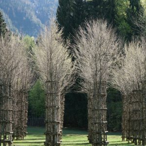 Arte Sella: un percorso in Trentino per incontrare arte e natura