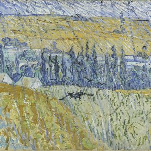 VAN GOGH. Tra il grano e il cielo - Vicenza