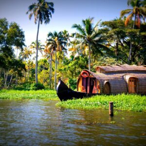 5 cose da fare in Kerala, la Terra degli Dei in India