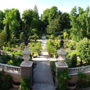 L’Orto Botanico di Padova, la “culla della scienza” patrimonio UNESCO