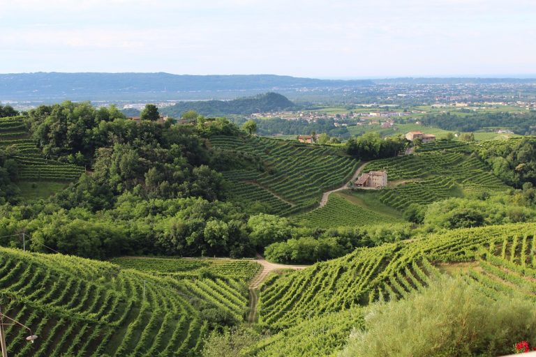 Colline del Prosecco