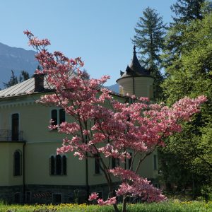 Il Parco delle Terme di Levico in Trentino