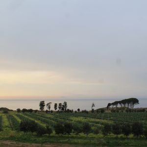 Capo Rasocolmo, la spiaggia e la tenuta in Sicilia