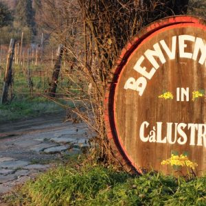 Itinerario in Veneto nel parco dei Colli Euganei, tra storia, golf e buona cucina