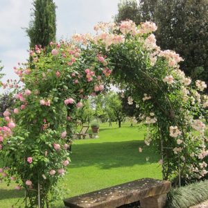 Visitare il Castello di Cordovado ed il labirinto di rose in Friuli Venezia Giulia