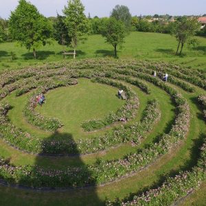 Visitare il Castello di Cordovado ed il labirinto di rose in Friuli Venezia Giulia