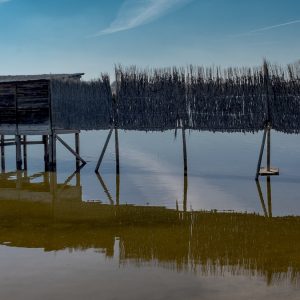 Un itinerario nel Polesine tra ville storiche e osterie tipiche