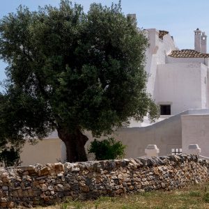 Masseria Le Carrube, relax tra le meraviglie della Puglia