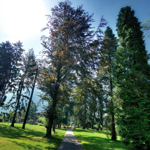 Il Parco delle Terme di Levico in Trentino