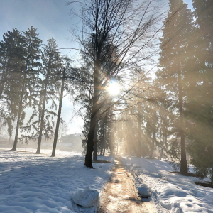 Il Parco delle Terme di Levico in Trentino