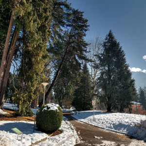 Il Parco delle Terme di Levico in Trentino