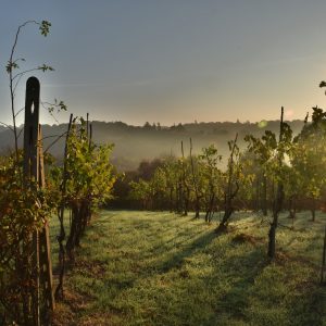 Itinerario in Veneto nel parco dei Colli Euganei, tra storia, golf e buona cucina