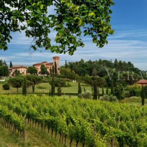 Il Castello di Spessa, un resort per una vacanza green in Friuli