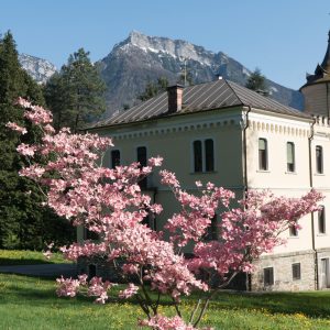 Grand Hotel Imperial, acque termali a Levico Terme