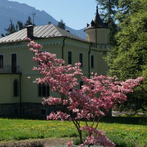 Grand Hotel Imperial, acque termali a Levico Terme