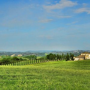 Visitare il Veneto: i Colli Berici, la strada dei vini e delle ville palladiane