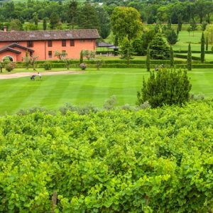 Castello di Spessa, viaggio in Friuli tra vigne e campi da golf