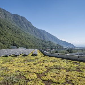 Bio Vitalhotel Theiner’s garten, un soggiorno ecosostenibile in Trentino Alto Adige