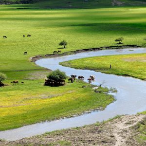 Tour da Mosca alla Mongolia, un affascinante viaggio in treno