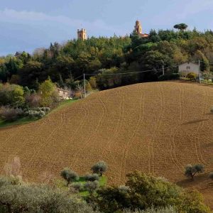 La regione del Montefeltro: cosa vedere, cosa mangiare e dove dormire