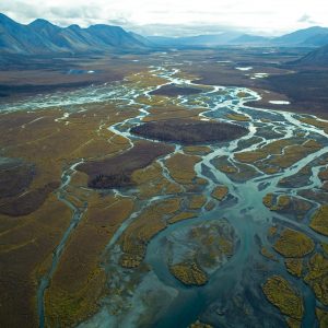 Le foto più belle provenienti da tutto il mondo