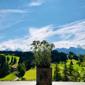 Hotel Pfösl, una vacanza di benessere in Alto Adige