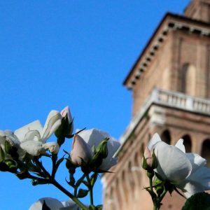 A Ferrara torna l’arte di Courbet: una mostra di opere che celebrano la natura