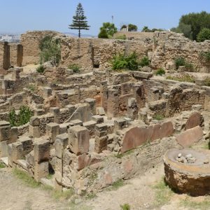 Tunisia: visitare il sito archeologico di Dougga